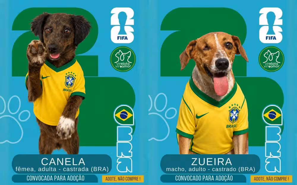 Abrigo de Cacoal surfa na trend e faz “cãovocação”